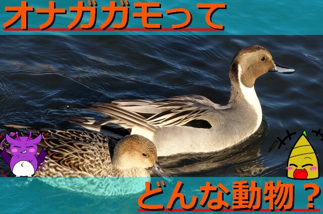 Thumbnail of post image 127